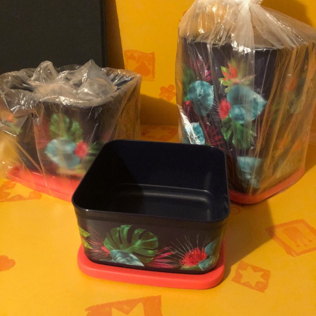 Vorratsdosen Cubix (3) 650 ml, 1,0 l & 1,8 l