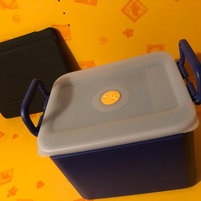 Gefrierbehälter Groß