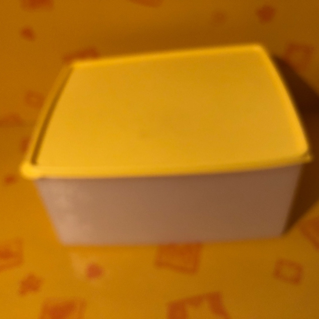 Gefrierbehälter groß 