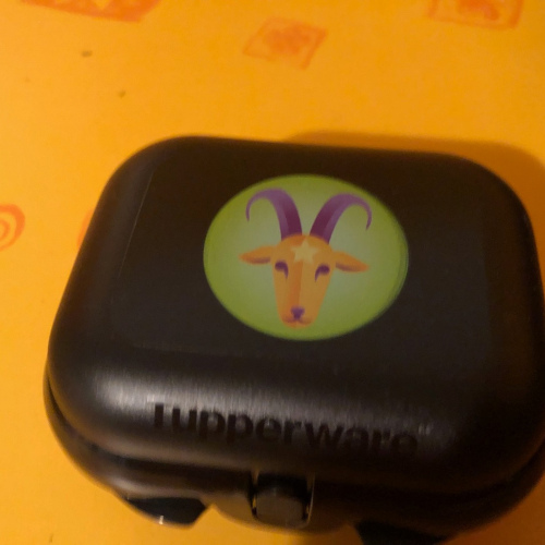 Minitwin Steinbock