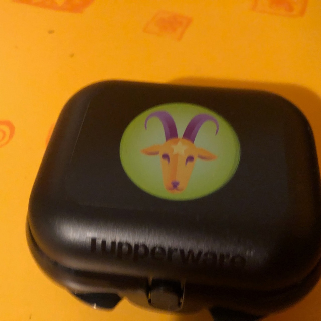 Minitwin Steinbock