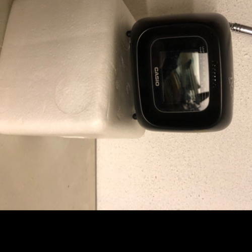 Casio TV Portable 